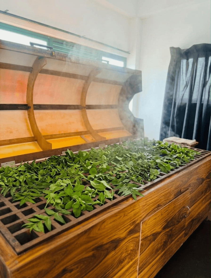 Traditional wooden herbal steam chamber